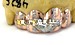 Grillz Hand-Cut Shape Grillz Custom 1