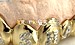Grillz 3D Letters Grillz Custom 1