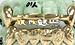 12 teeth gold grillz