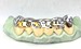 custom bottom grillz
