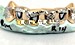 custom grillz for sale