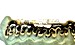 dripping gold bottom grill