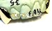 fang grillz caps
