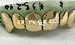fang grillz top