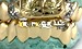 full gold grill
