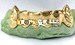 gold fangs top and bottom