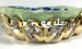 gold grill teeth designs