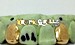 gold grillz caps