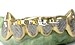 gold slugs fangs