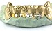 how much do bottom gold grillz cost