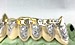 how much for 6 bottom gold teeth