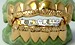 mens teeth grills
