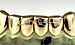 order gold grillz online