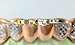 rose gold bottom grillz